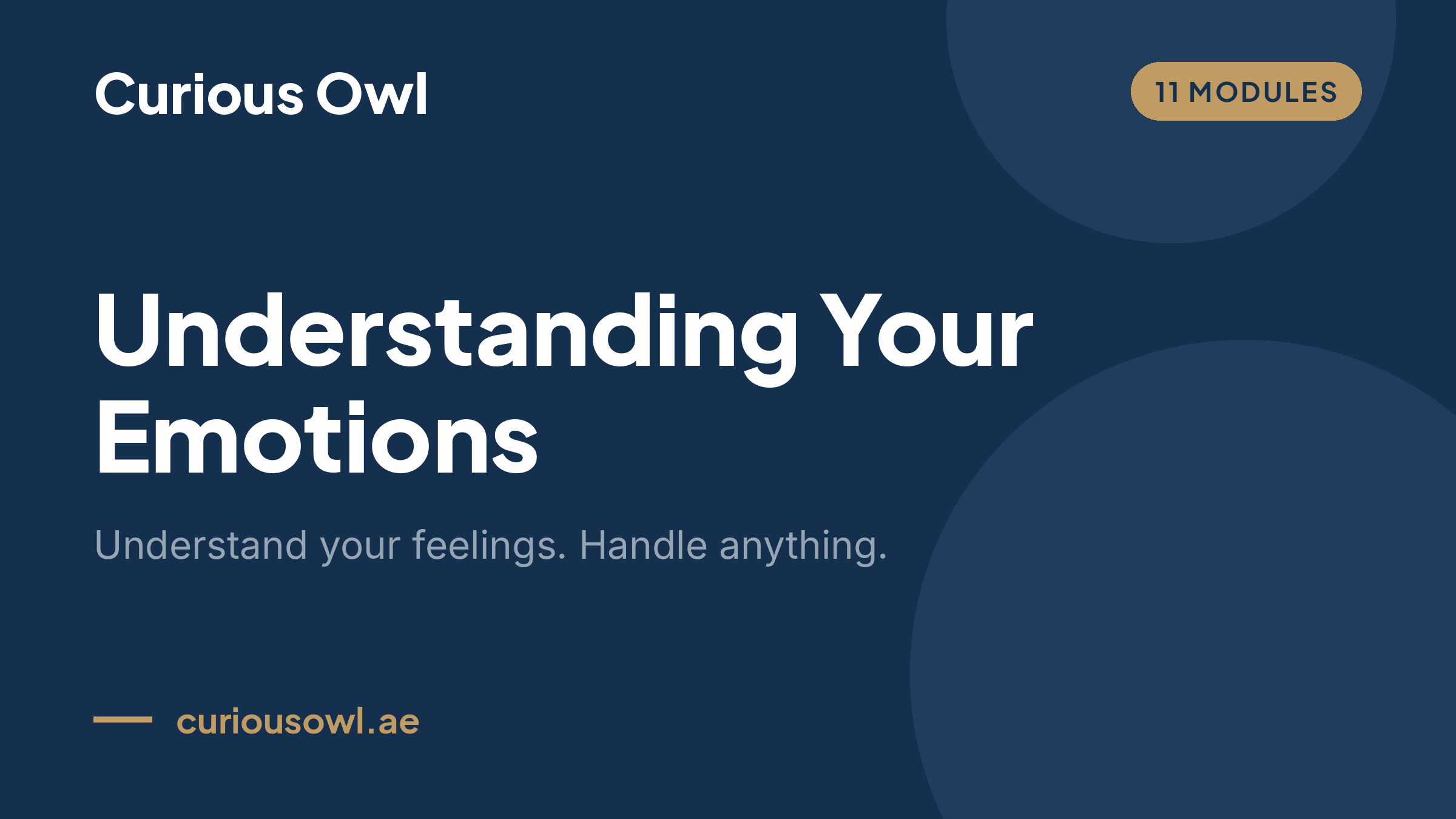 cover understanding your emotions